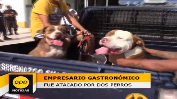 Ataque perros
