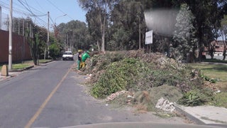 La Molina: Acopio de maleza genera problemas en el tránsito