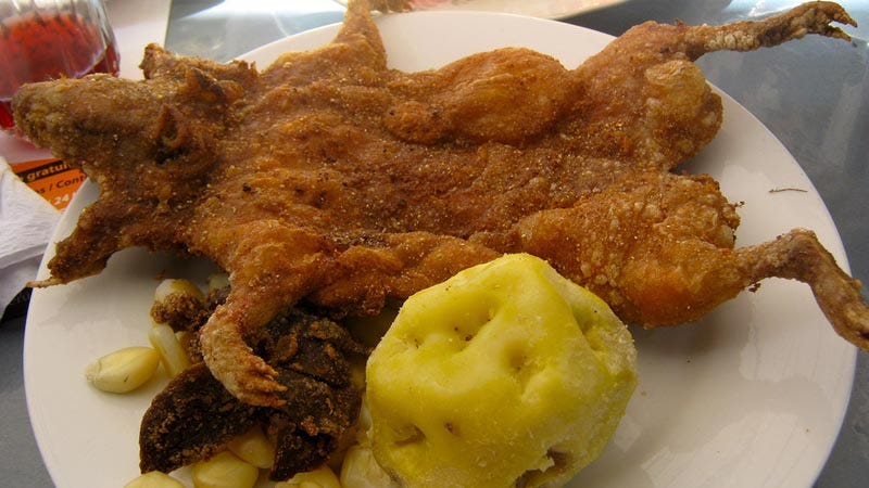 Cuy a la brasa o frito. 