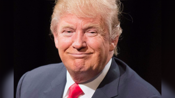 Es presidente de la Trump Organization y fundador de la empresa de hotel y juegos de azar Trump Entertainment Resorts, que es ahora propiedad de Carl Icahn.