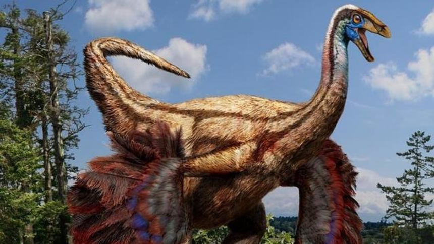 Los estudios modernos proponen que los dinosuarios tenían plumas y son más cercanos a las aves que a los reptiles.