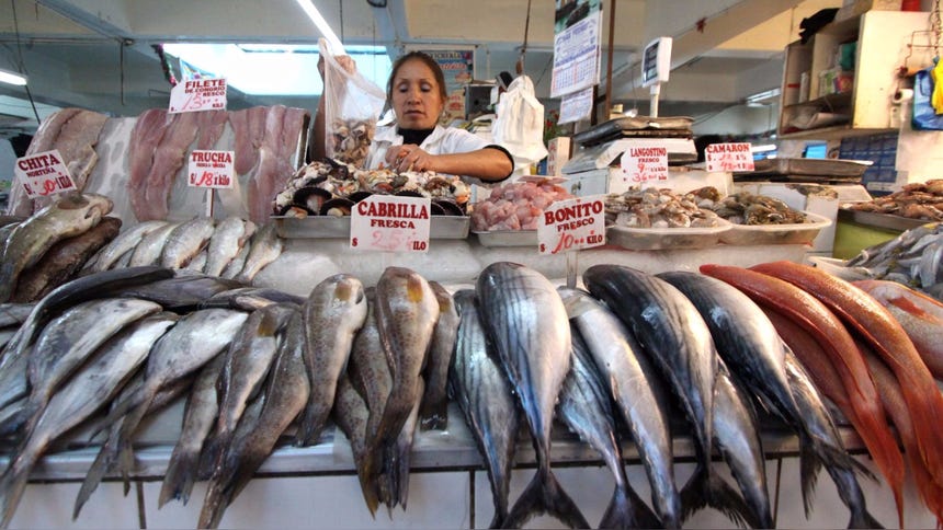 Al momento de comprar es muy importante observar el color de las agallas del pescado y que se note que están frescas.