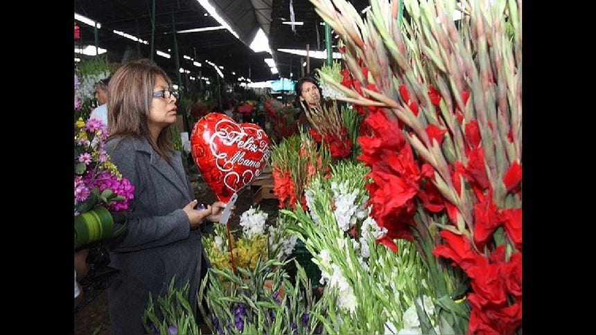 El 60% de entrevistados en el nivel socioeconómico D es el segmento que regalará más moda.