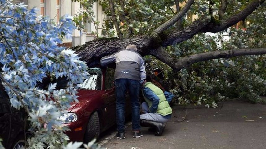 El temporal ha dejado algunas vías bloqueadas por la caída de árboles y postes de electricidad.  