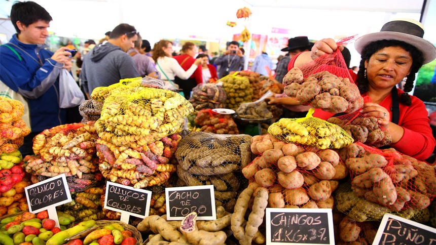 Es importante mencionar que el consumo per cápita nacional se ha aumentado de 76 kilogramos por persona al año hasta 89 kilogramos por persona al año al 2016. 