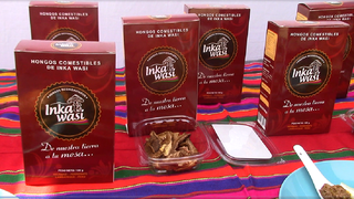 Primer envío de hongos deshidratados de Inkawasi tendrá como destino Polonia