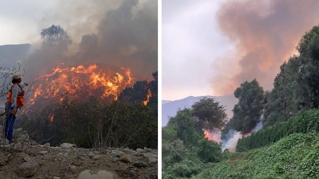 Lurigancho-Chosica: bomberos atienden incendio forestal de código 2 en ...