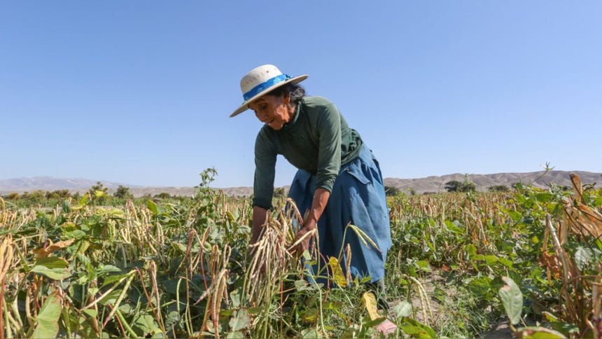 El SAC permite indemnizar hasta con 800 soles por hectárea a los agricultores.