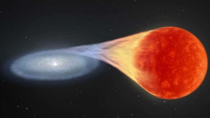 Astrónomos descubren una nueva supernova, fuente de polvo en el universo