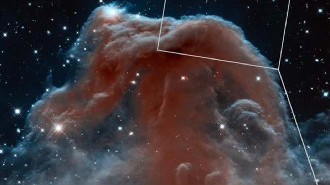 Telescopio James Webb capta la nebulosa "Cabeza de Caballo" con un ...