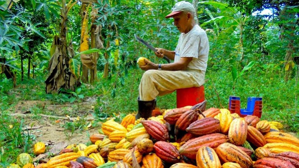 Se firmará una Declaratoria de San Martín para impulsar la economía y seguridad de la región.