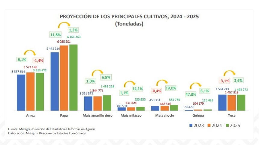 Para el año 2024, el valor bruto de la producción de los cultivos priorizados, mostraría un crecimiento de 7,5 %, siendo la papa y el arroz, los que más aportarían.