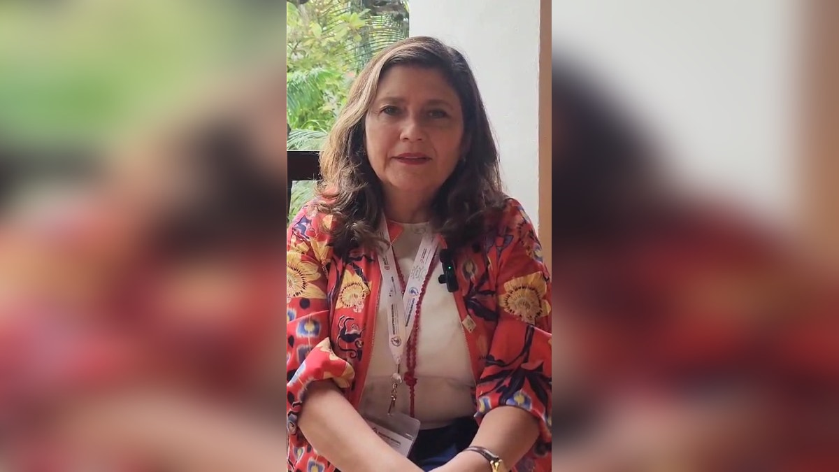 Alejandra Sepúlveda, gerente del proyecto de Integridad Electoral y Género de IDEA Internacional.