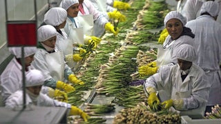 Agroexportaciones alcanzan récord histórico: más de 15 mil millones de dólares en 2025