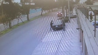 La Molina: piden ayuda para recuperar auto robado hace cinco meses