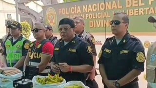 PNP tras captura de presuntos integrantes de 'Los Pulpos' en Chile: 