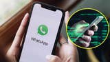 ¿Qué hacer si te hackearon tu cuenta de WhatsApp?