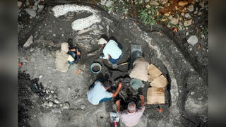 Hallan fósiles de perezoso gigante y mastodonte de al menos 10 000 años en Costa Rica