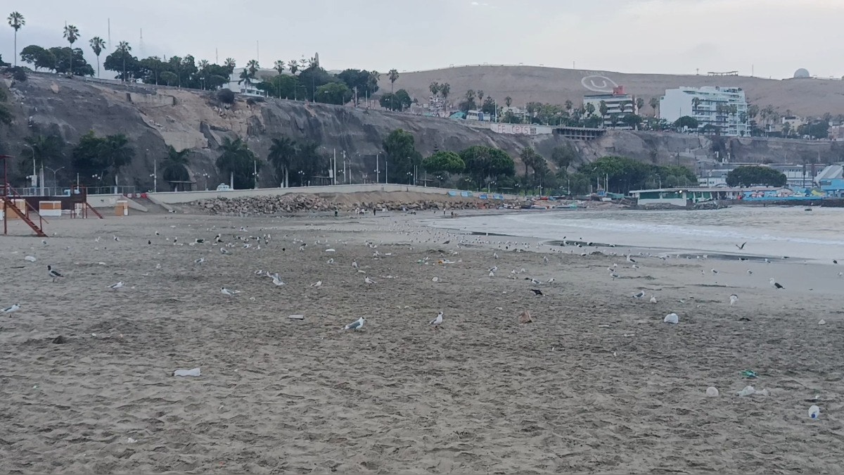 Alcalde de Chorrillos responde a Defensoría por cierre de playa Agua Dulce: 