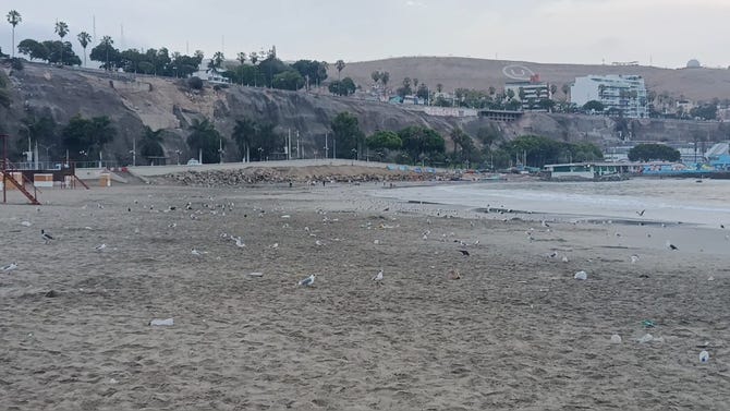 Alcalde de Chorrillos responde a Defensoría por cierre de playa Agua Dulce: 