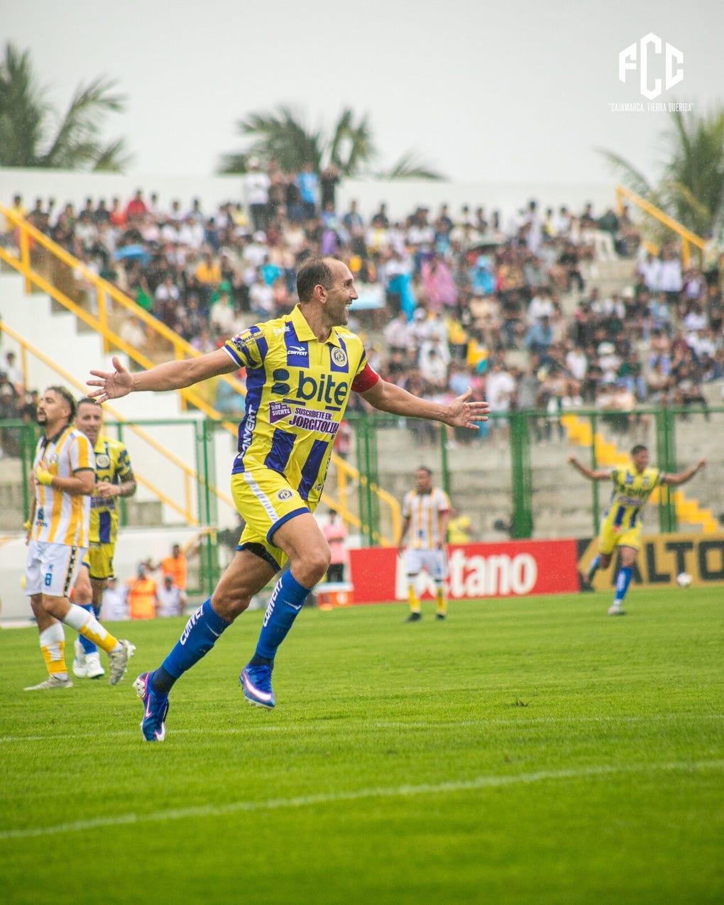 <strong>11. Hernán Barcos</strong> (Argentino-peruano)