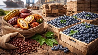 El cacao y los arándanos peruanos rompen récords históricos de exportación