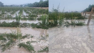 Ica: pobladores piden ayuda luego de que río se desborde e inunde chacras [VIDEO]