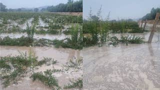Ica: pobladores piden ayuda luego de que río se desborde e inunde chacras [VIDEO]