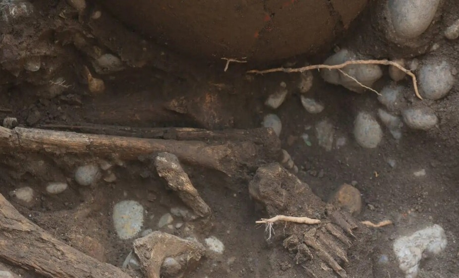 Según reportó Andina, citando a la empresa Cálidda, los restos corresponden a una persona adulta, quien fue enterrada en forma sedante con las piernas flexionadas al pecho.