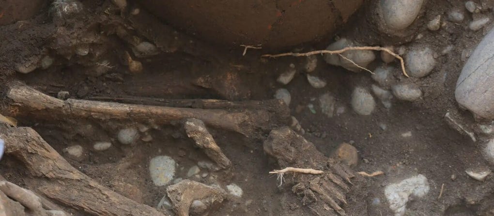 Según reportó Andina, citando a la empresa Cálidda, los restos corresponden a una persona adulta, quien fue enterrada en forma sedante con las piernas flexionadas al pecho.