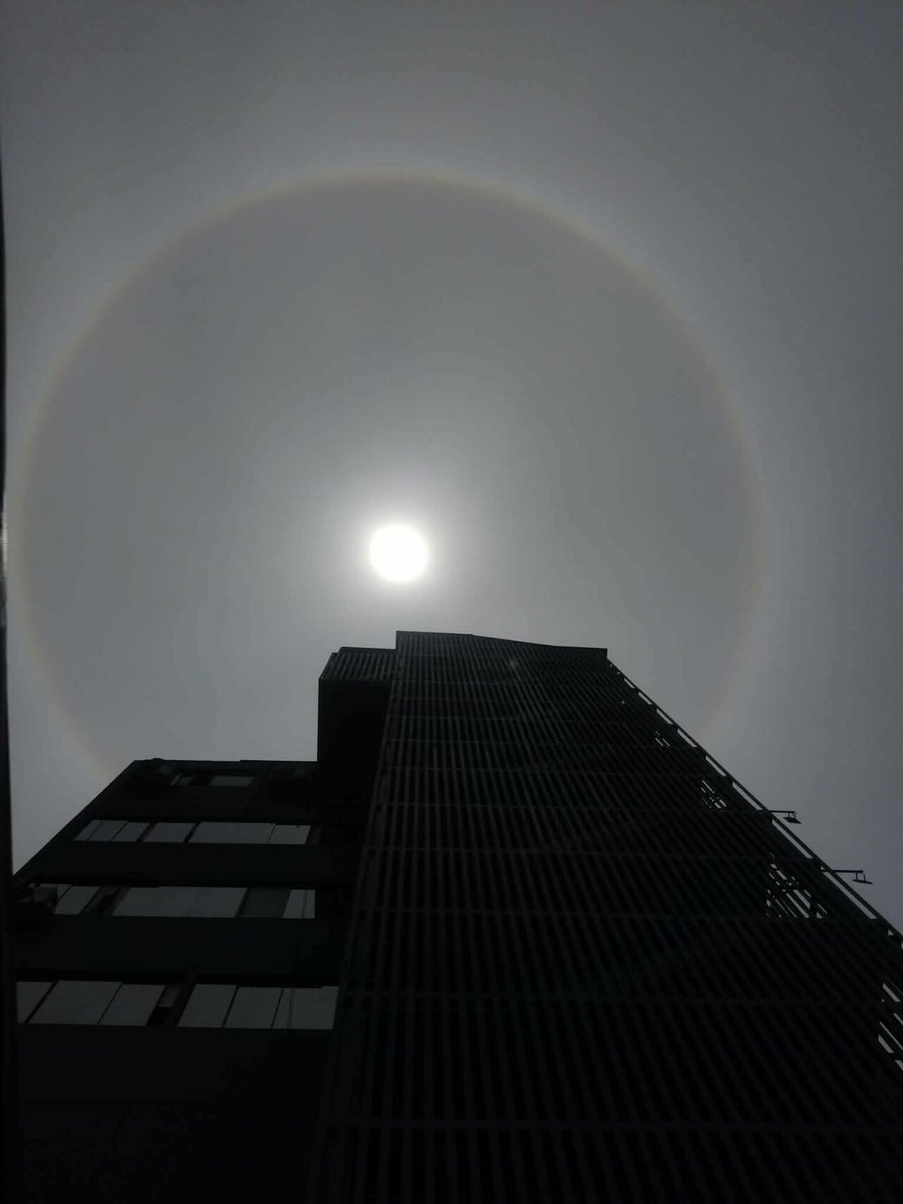 El halo solar pudo verse alrededor del mediodía de este miércoles, 18 de febrero, desde diversos distritos de la capital.