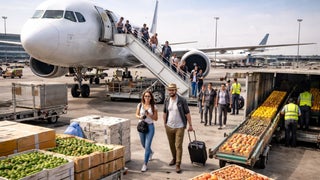 ¿Boom aéreo?: Perú amplía rutas y potencia exportaciones vía carga aérea