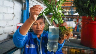 Minsa impulsa acciones para educar a las familias y fortalecer la capacidad operativa del primer nivel de atención frente al dengue
