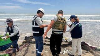 Casma: intervienen a siete hombres por presunta pesca ilegal en Comandante Noel