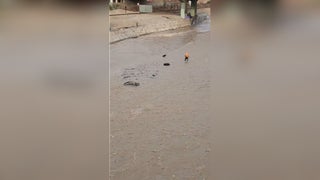 Cercado de Lima: policía desaparece en el río Rímac cuando intentó rescatar a un perro