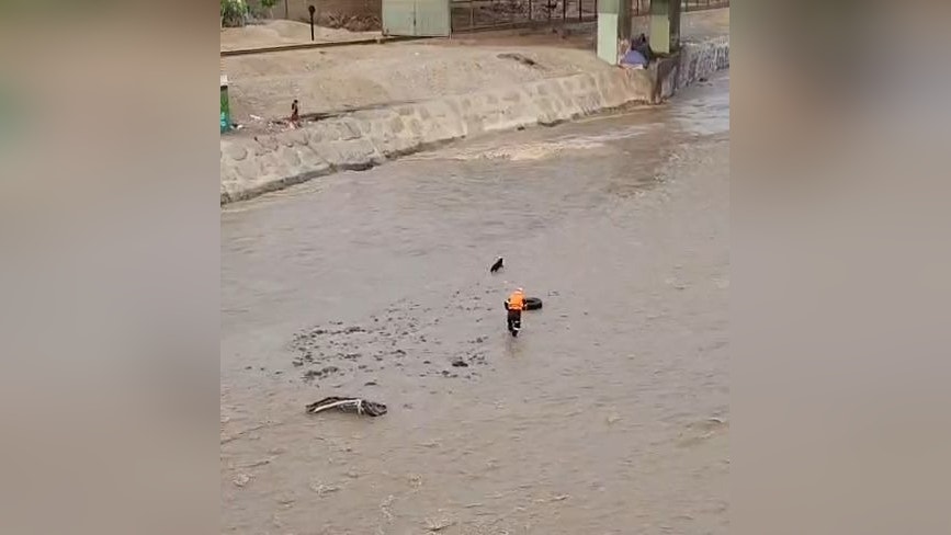 Cercado de Lima: policía fue arrastrado por las aguas del río Rímac tras ingresar a rescatar a perrito [VIDEO]