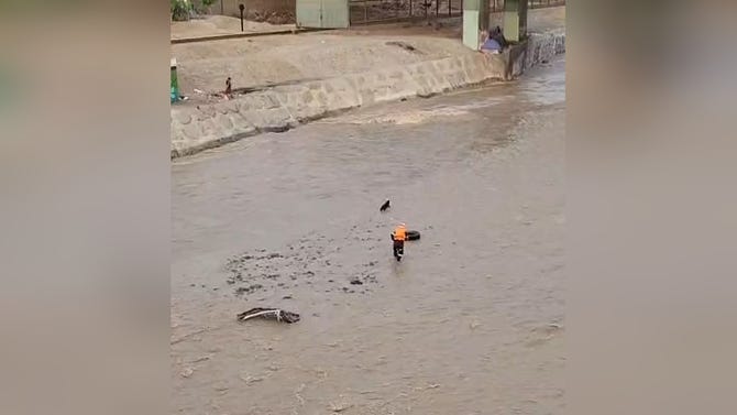 Cercado de Lima: policía fue arrastrado por las aguas del río Rímac tras ingresar a rescatar a perrito [VIDEO]