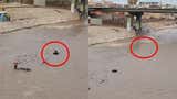 Cercado de Lima: policía fue arrastrado por las aguas del río Rímac tras ingresar a rescatar a perrito [VIDEO]