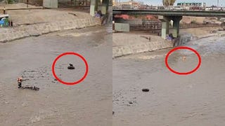 Cercado de Lima: policía fue arrastrado por las aguas del río Rímac tras ingresar a rescatar a perrito [VIDEO]
