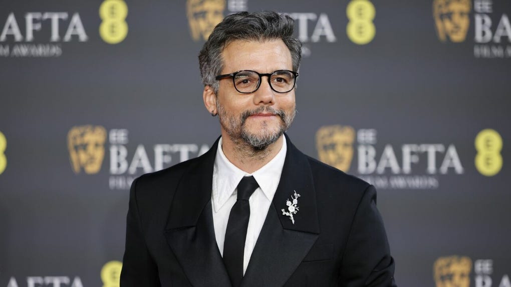 El actor brasileño <strong data-start=2813 data-end=2856>Wagner Moura</strong>, protagonista y productor de El agente secreto, también formó parte del desfile de celebridades.