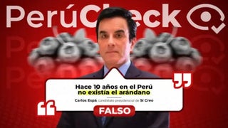 ¿Hace diez años no existían los arándanos? Es falso lo que dijo el candidato Carlos Espá