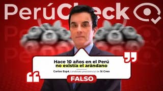 ¿Hace diez años no existían los arándanos? Es falso lo que dijo el candidato Carlos Espá