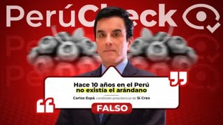 ¿Hace diez años no existían los arándanos? Es falso lo que dijo el candidato Carlos Espá