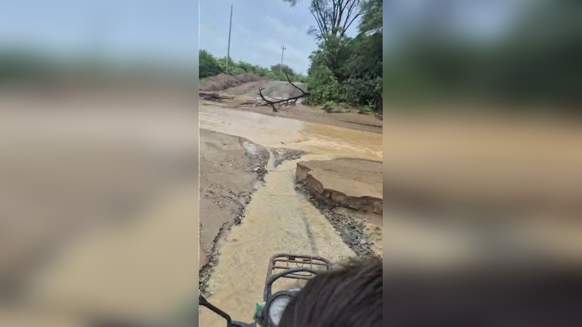 La caída de un árbol sobre cables de alta tensión dejó a varias comunidades sin los servicios de energía eléctrica y telefonía. 