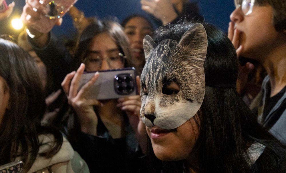 El encuentro de therians convocado el sábado en Barcelona, que resultó fallido ante la ausencia de estos jóvenes que se identifican como los animales y tapan sus caras con máscaras, finalizó con incidentes cuando algunas personas lanzaron objetos y destrozaron mobiliario urbano, por lo que las autoridades intervinieron para desalojar la zona y detuvieron a cuatro personas.