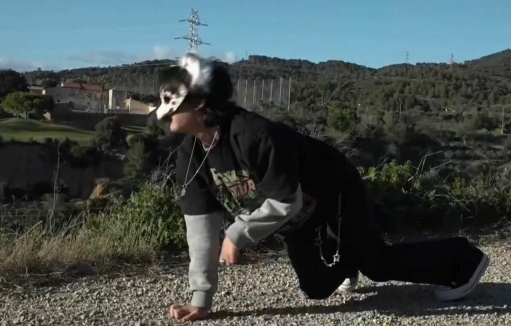 Los therians se han hecho famosos en las redes sociales, donde han publicado vídeos en los que aparecen enmascarados o enfundados en trajes de perros, gatos, zorros o serpientes, imitando sus movimientos y sonidos. Algunos incluso interactúan con animales reales en parques y sitios públicos.