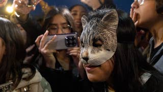 Incidentes en encuentro de therians en Barcelona: detienen a cuatro personas por alterar el orden público [FOTOS]