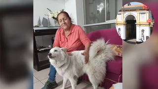 Buena noticia: operan a adulta mayor de 80 años en el Hospital Dos de Mayo