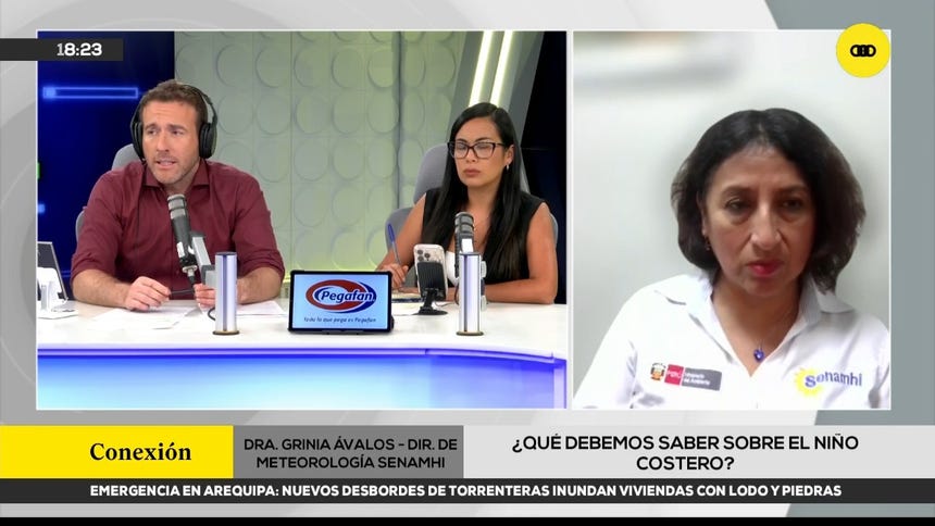 Grinia Avalos, titular de la Dirección de Meteorología y Evaluación Ambiental Atmosférica del Senamhi. 