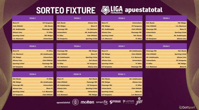 Liga Femenina de Fútbol 2026: formato, fixture y todo sobre el torneo ...